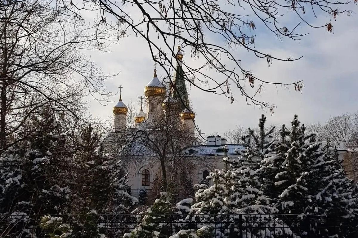"Рождественский Петербург"