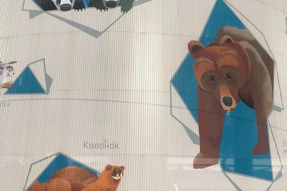 В поисках «Чёрного золота»:  От буровой вышки до термального оазиса. 2026